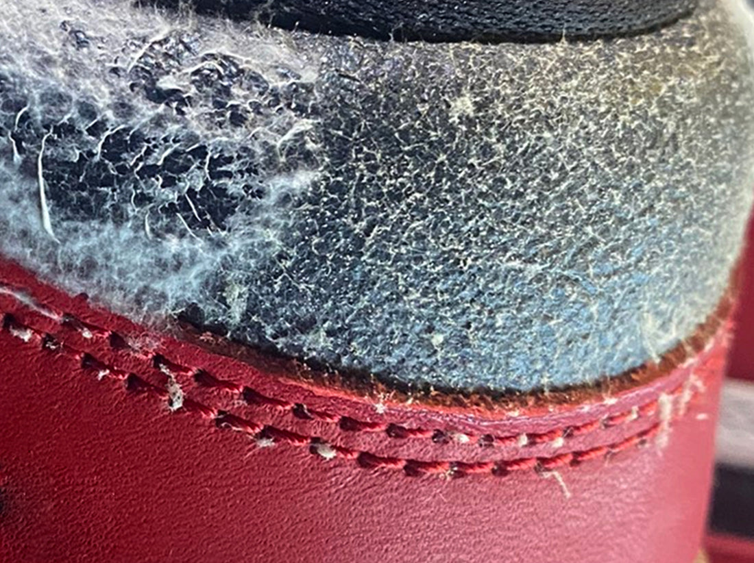 Leather Shoe Mold in Humidity