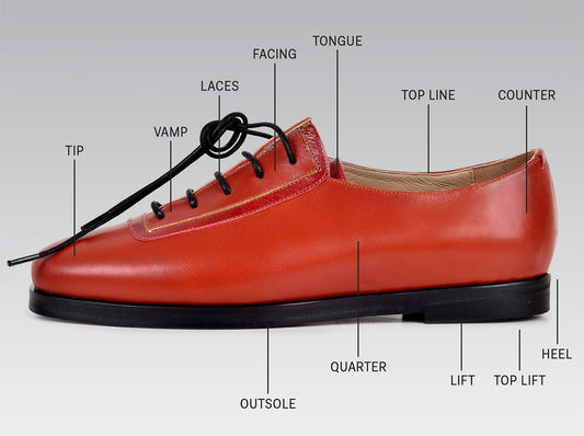 Shoe Anatomy Explained